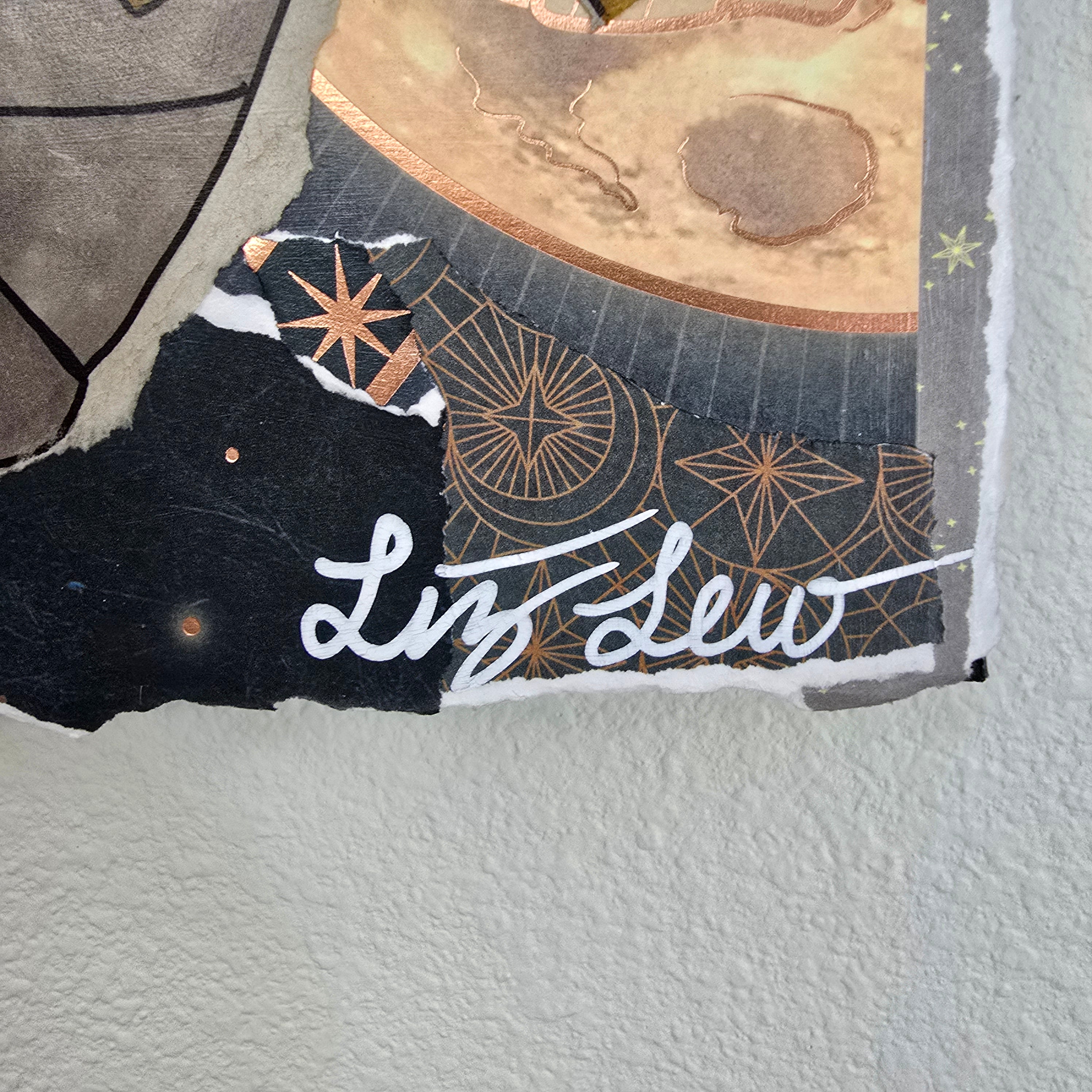 Shedinja Witch Themed Scrapbook Collage Painting 8 x 10 x 2